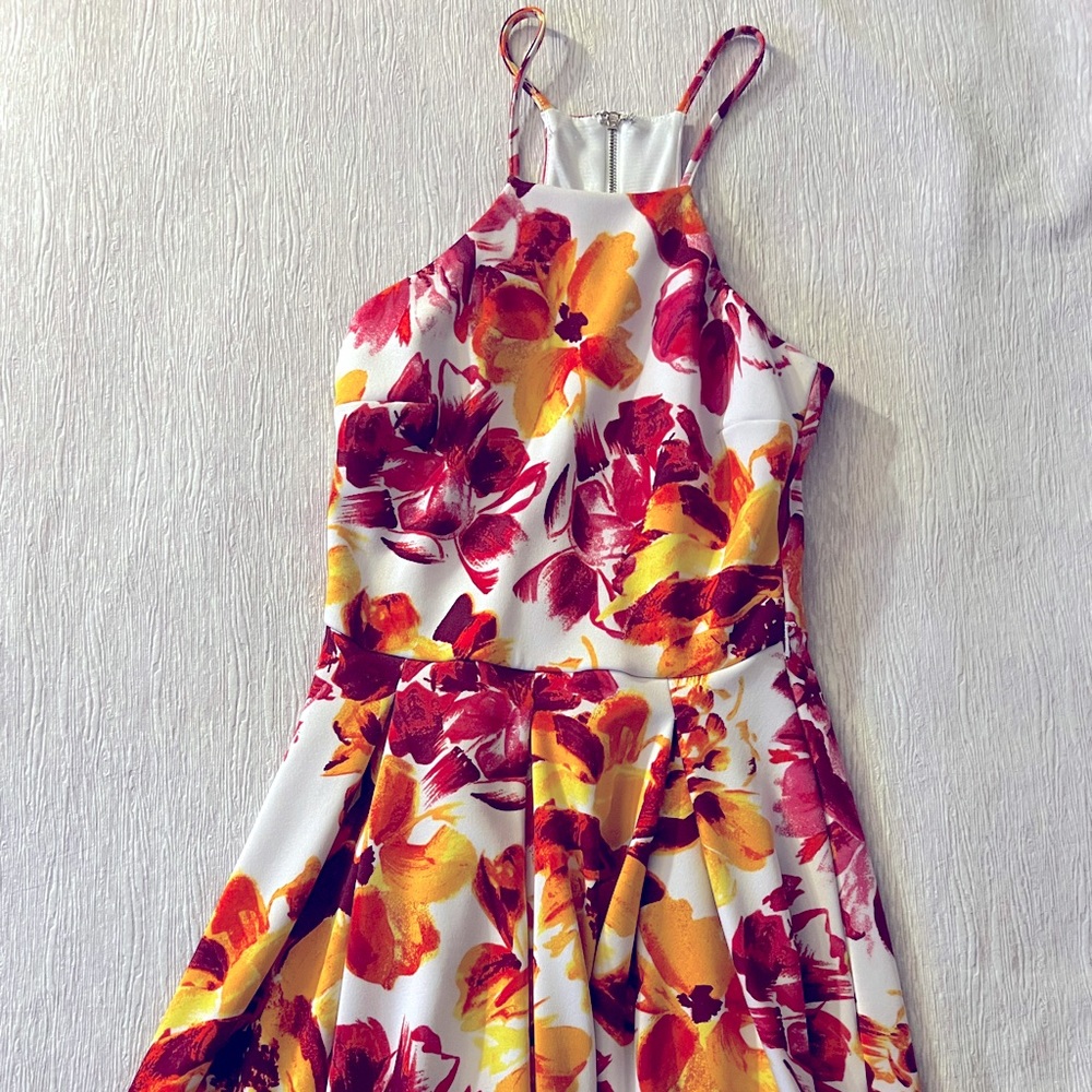 Bebe Dress with Blazer